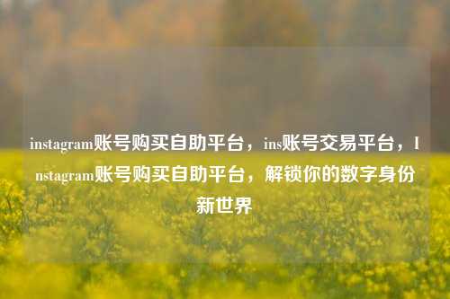 instagram账号购买自助平台，ins账号交易平台，Instagram账号购买自助平台，解锁你的数字身份新世界