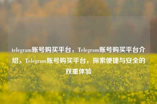 telegram账号购买平台，Telegram账号购买平台介绍，Telegram账号购买平台，探索便捷与安全的双重体验