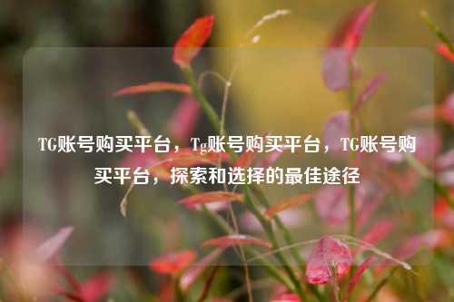 TG账号购买平台，Tg账号购买平台，TG账号购买平台，探索和选择的最佳途径