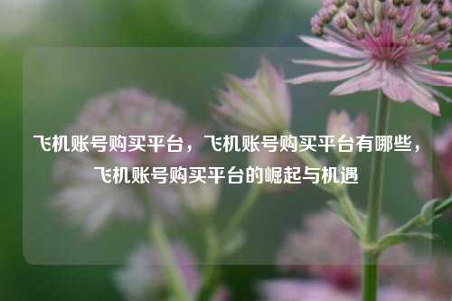 飞机账号购买平台，飞机账号购买平台有哪些，飞机账号购买平台的崛起与机遇