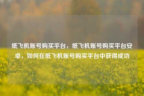 纸飞机账号购买平台，纸飞机账号购买平台安卓，如何在纸飞机账号购买平台中获得成功