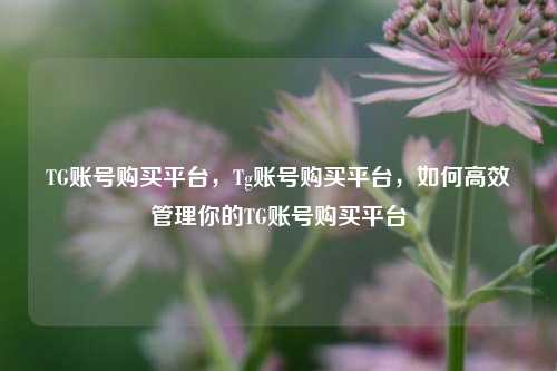 TG账号购买平台，Tg账号购买平台，如何高效管理你的TG账号购买平台