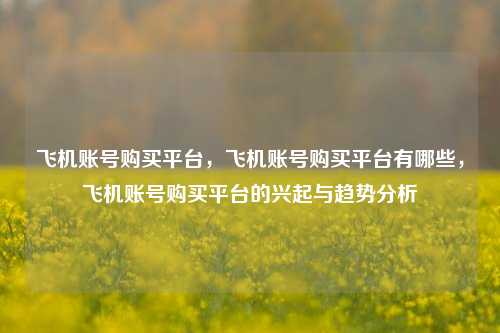 飞机账号购买平台，飞机账号购买平台有哪些，飞机账号购买平台的兴起与趋势分析