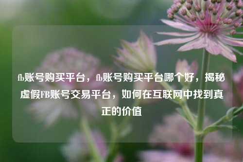 fb账号购买平台，fb账号购买平台哪个好，揭秘虚假FB账号交易平台，如何在互联网中找到真正的价值