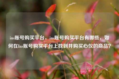 ins账号购买平台，ins账号购买平台有哪些，如何在Ins账号购买平台上找到并购买心仪的商品？