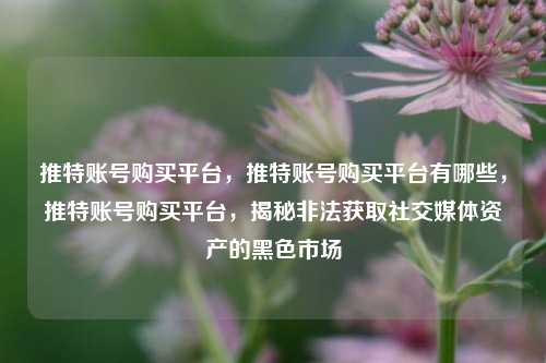 推特账号购买平台，推特账号购买平台有哪些，推特账号购买平台，揭秘非法获取社交媒体资产的黑色市场