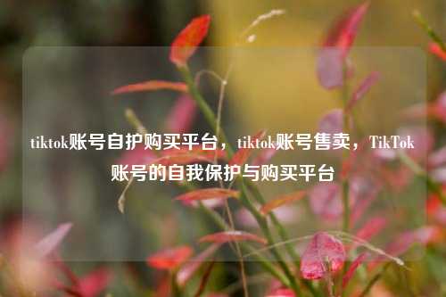 tiktok账号自护购买平台，tiktok账号售卖，TikTok账号的自我保护与购买平台