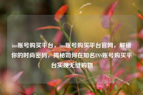 ins账号购买平台，ins账号购买平台官网，解锁你的时尚密码，揭秘如何在知名INS账号购买平台实现无缝购物