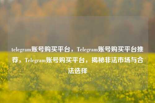 telegram账号购买平台，Telegram账号购买平台推荐，Telegram账号购买平台，揭秘非法市场与合法选择