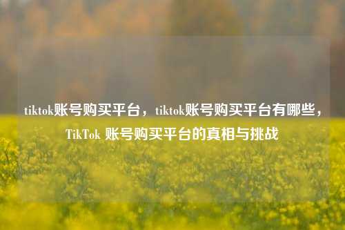 tiktok账号购买平台，tiktok账号购买平台有哪些，TikTok 账号购买平台的真相与挑战
