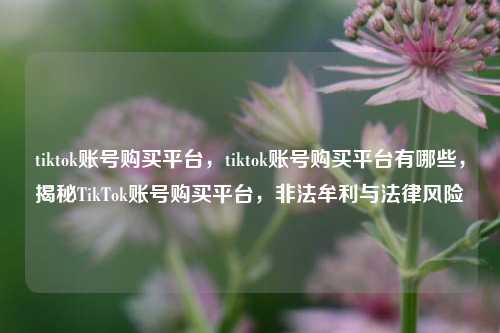 tiktok账号购买平台	，tiktok账号购买平台有哪些，揭秘TikTok账号购买平台，非法牟利与法律风险  第1张