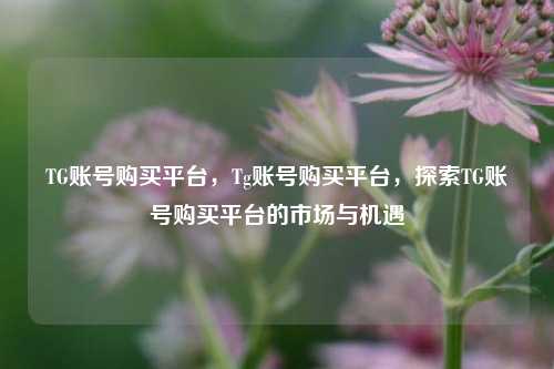 TG账号购买平台，Tg账号购买平台，探索TG账号购买平台的市场与机遇