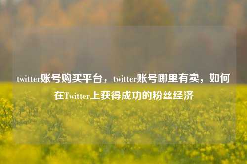 twitter账号购买平台，twitter账号哪里有卖，如何在Twitter上获得成功的粉丝经济