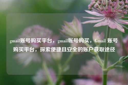 gmail账号购买平台，gmail帐号购买，Gmail 账号购买平台，探索便捷且安全的账户获取途径