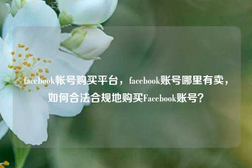 facebook帐号购买平台，facebook账号哪里有卖，如何合法合规地购买Facebook账号？