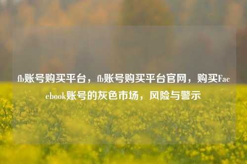 fb账号购买平台，fb账号购买平台官网，购买Facebook账号的灰色市场，风险与警示
