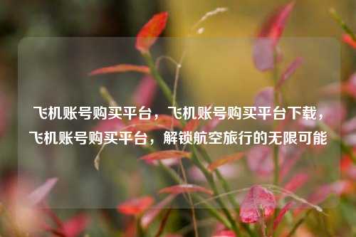 飞机账号购买平台，飞机账号购买平台下载，飞机账号购买平台，解锁航空旅行的无限可能