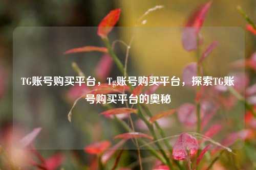 TG账号购买平台，Tg账号购买平台，探索TG账号购买平台的奥秘