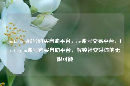 instagram账号购买自助平台，ins账号交易平台，Instagram账号购买自助平台，解锁社交媒体的无限可能