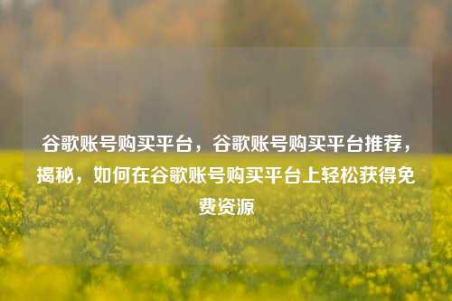 谷歌账号购买平台，谷歌账号购买平台推荐，揭秘，如何在谷歌账号购买平台上轻松获得免费资源
