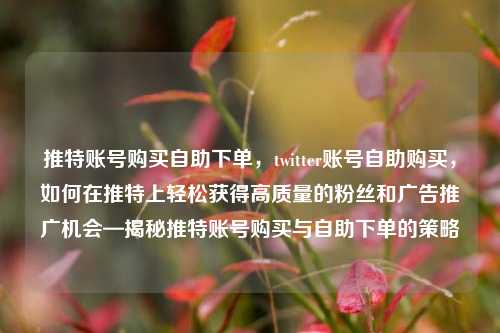 推特账号购买自助下单，twitter账号自助购买，如何在推特上轻松获得高质量的粉丝和广告推广机会—揭秘推特账号购买与自助下单的策略