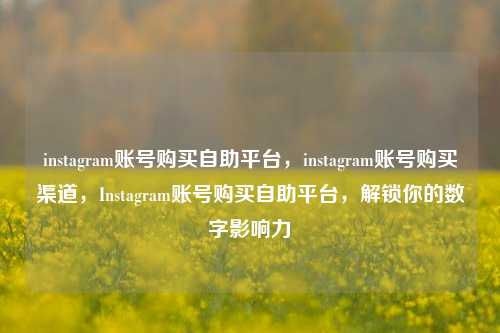 instagram账号购买自助平台，instagram账号购买渠道，Instagram账号购买自助平台，解锁你的数字影响力