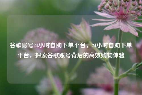 谷歌账号24小时自助下单平台，24小时自助下单平台，探索谷歌账号背后的高效购物体验