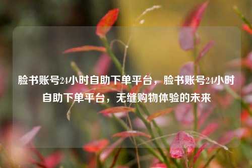 脸书账号24小时自助下单平台，脸书账号24小时自助下单平台，无缝购物体验的未来
