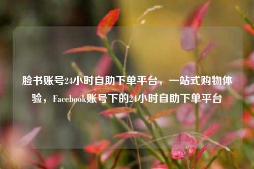 脸书账号24小时自助下单平台	，一站式购物体验，Facebook账号下的24小时自助下单平台  第1张