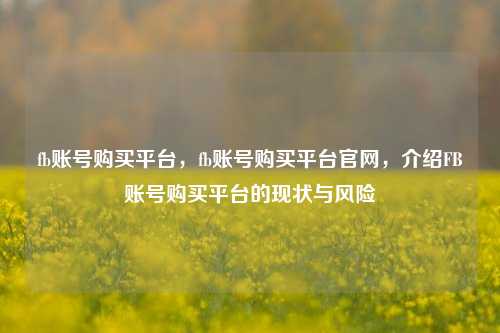 fb账号购买平台，fb账号购买平台官网，介绍FB账号购买平台的现状与风险