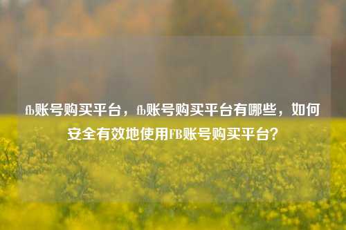 fb账号购买平台，fb账号购买平台有哪些，如何安全有效地使用FB账号购买平台？