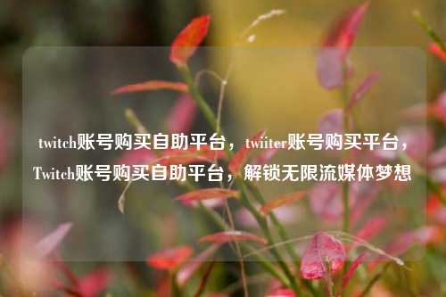 twitch账号购买自助平台，twiiter账号购买平台，Twitch账号购买自助平台	，解锁无限流媒体梦想  第1张