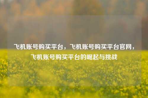 飞机账号购买平台，飞机账号购买平台官网，飞机账号购买平台的崛起与挑战
