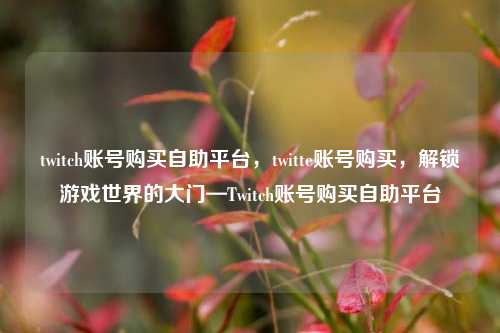 twitch账号购买自助平台，twitte账号购买，解锁游戏世界的大门—Twitch账号购买自助平台