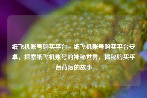 纸飞机账号购买平台，纸飞机账号购买平台安卓，探索纸飞机账号的神秘世界，揭秘购买平台背后的故事