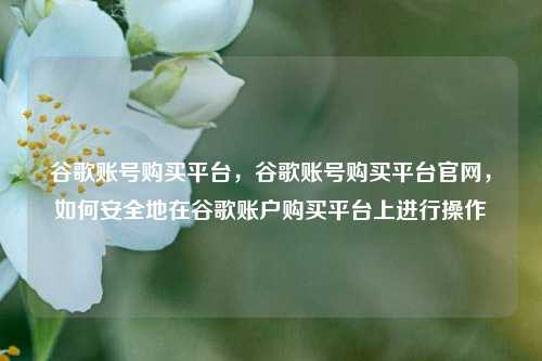 谷歌账号购买平台，谷歌账号购买平台官网，如何安全地在谷歌账户购买平台上进行操作