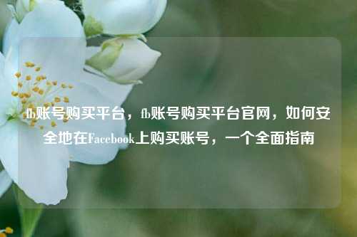 fb账号购买平台，fb账号购买平台官网，如何安全地在Facebook上购买账号，一个全面指南