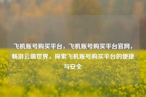 飞机账号购买平台，飞机账号购买平台官网，畅游云端世界，探索飞机账号购买平台的便捷与安全