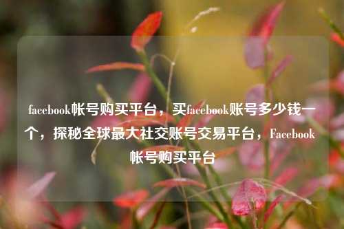 facebook帐号购买平台	，买facebook账号多少钱一个，探秘全球最大社交账号交易平台，Facebook 帐号购买平台  第1张