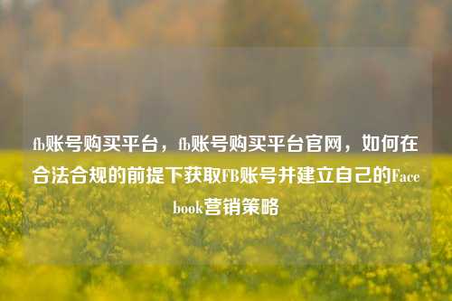 fb账号购买平台，fb账号购买平台官网，如何在合法合规的前提下获取FB账号并建立自己的Facebook营销策略