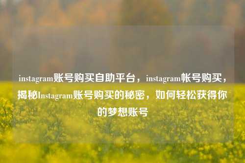 instagram账号购买自助平台，instagram帐号购买，揭秘Instagram账号购买的秘密，如何轻松获得你的梦想账号