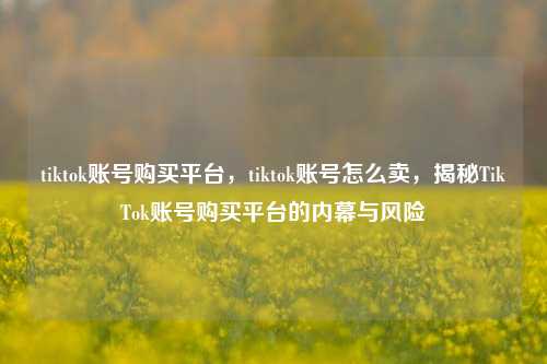 tiktok账号购买平台，tiktok账号怎么卖，揭秘TikTok账号购买平台的内幕与风险
