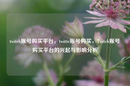 twitch账号购买平台，twitte账号购买，Twitch账号购买平台的兴起与影响分析