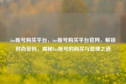 ins账号购买平台，ins账号购买平台官网，解锁时尚密码，揭秘Ins账号的购买与管理之道