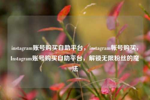 instagram账号购买自助平台，instagram帐号购买，Instagram账号购买自助平台，解锁无限粉丝的魔法