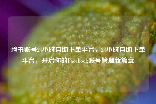 脸书账号24小时自助下单平台，24小时自助下单平台，开启你的Facebook账号管理新篇章