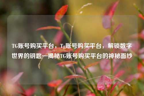 TG账号购买平台，Tg账号购买平台，解锁数字世界的钥匙—揭秘TG账号购买平台的神秘面纱