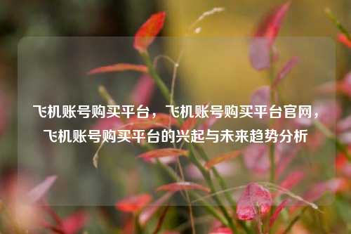 飞机账号购买平台	，飞机账号购买平台官网，飞机账号购买平台的兴起与未来趋势分析  第1张