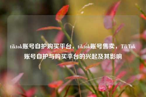 tiktok账号自护购买平台，tiktok账号售卖	，TikTok账号自护与购买平台的兴起及其影响  第1张