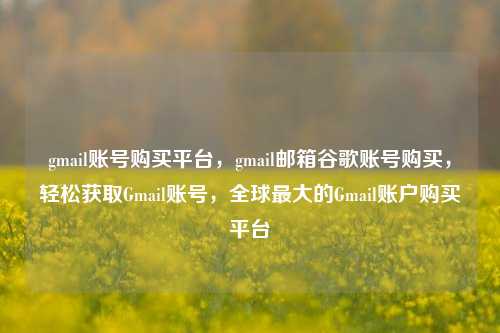 gmail账号购买平台，gmail邮箱谷歌账号购买，轻松获取Gmail账号，全球最大的Gmail账户购买平台